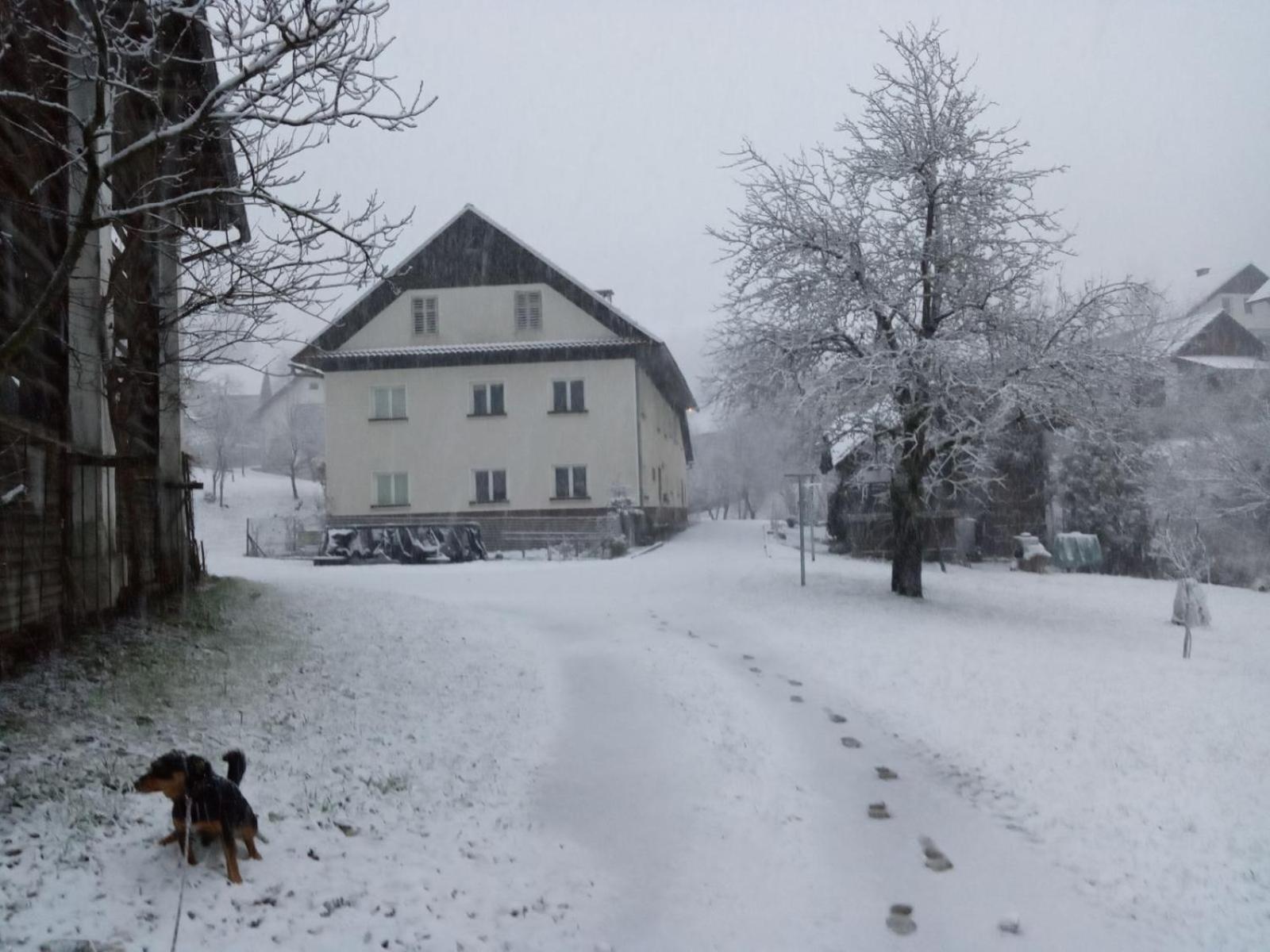 Domacija Markc Zelezniki Exteriör bild