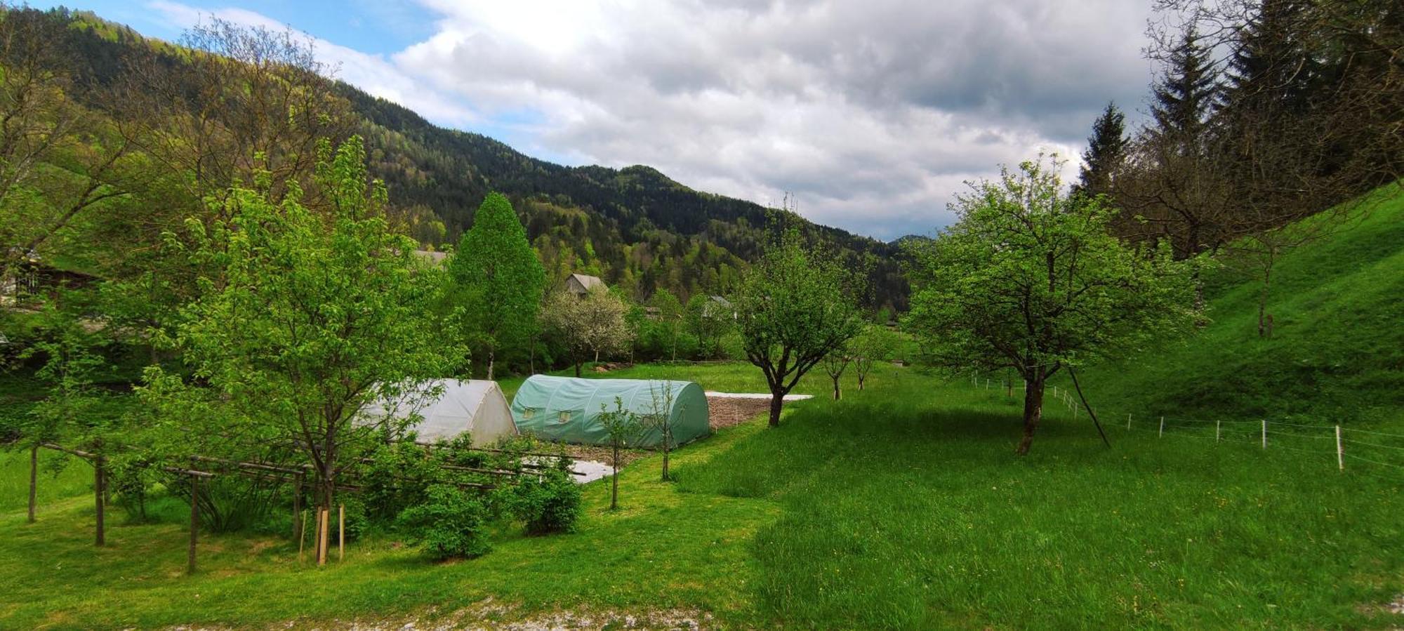 Domacija Markc Zelezniki Exteriör bild