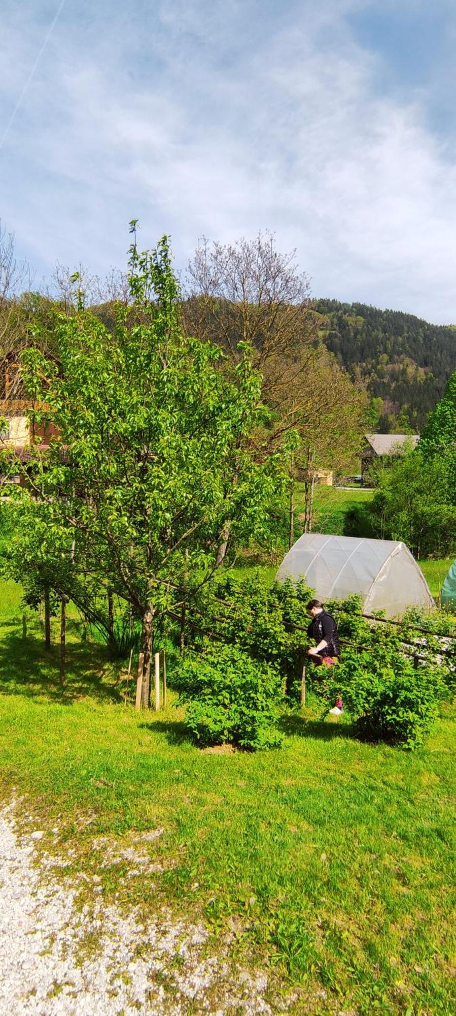 Domacija Markc Zelezniki Exteriör bild