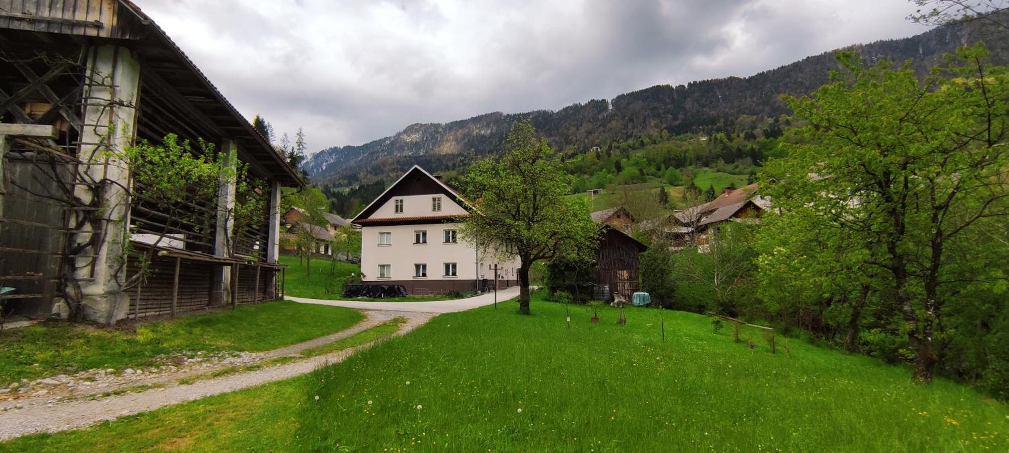 Domacija Markc Zelezniki Exteriör bild