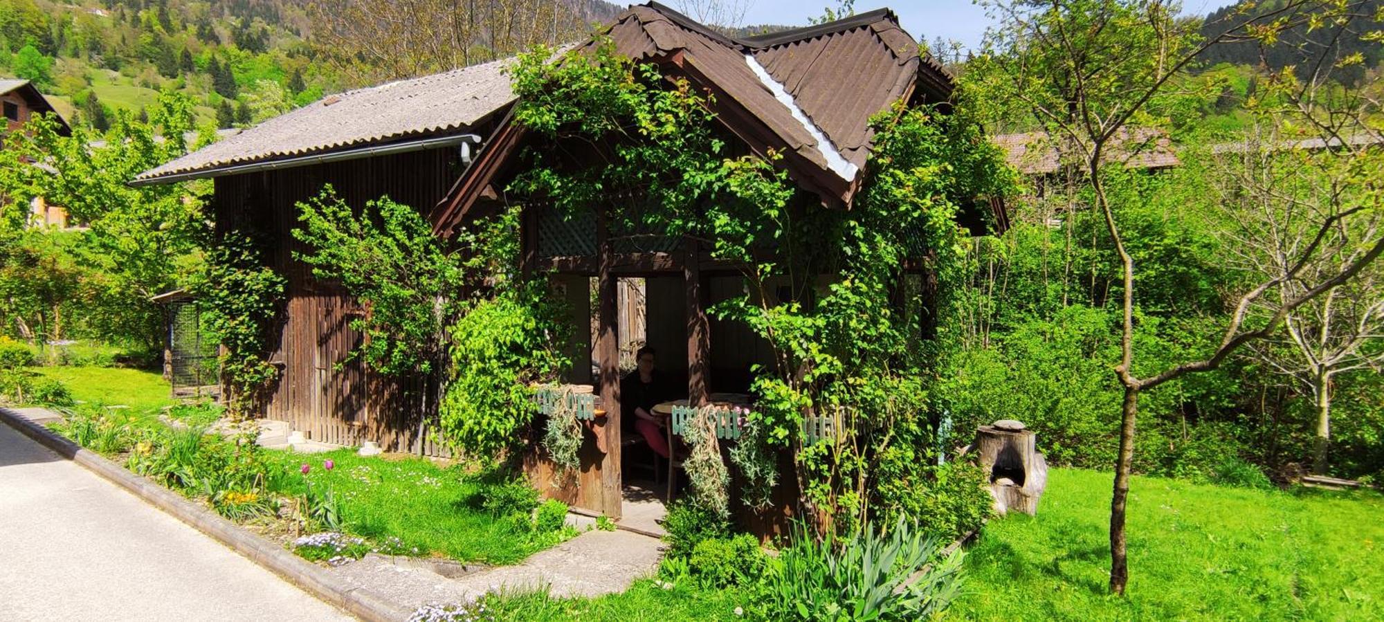 Domacija Markc Zelezniki Exteriör bild