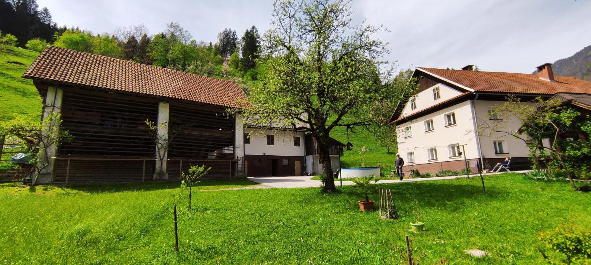 Domacija Markc Zelezniki Exteriör bild