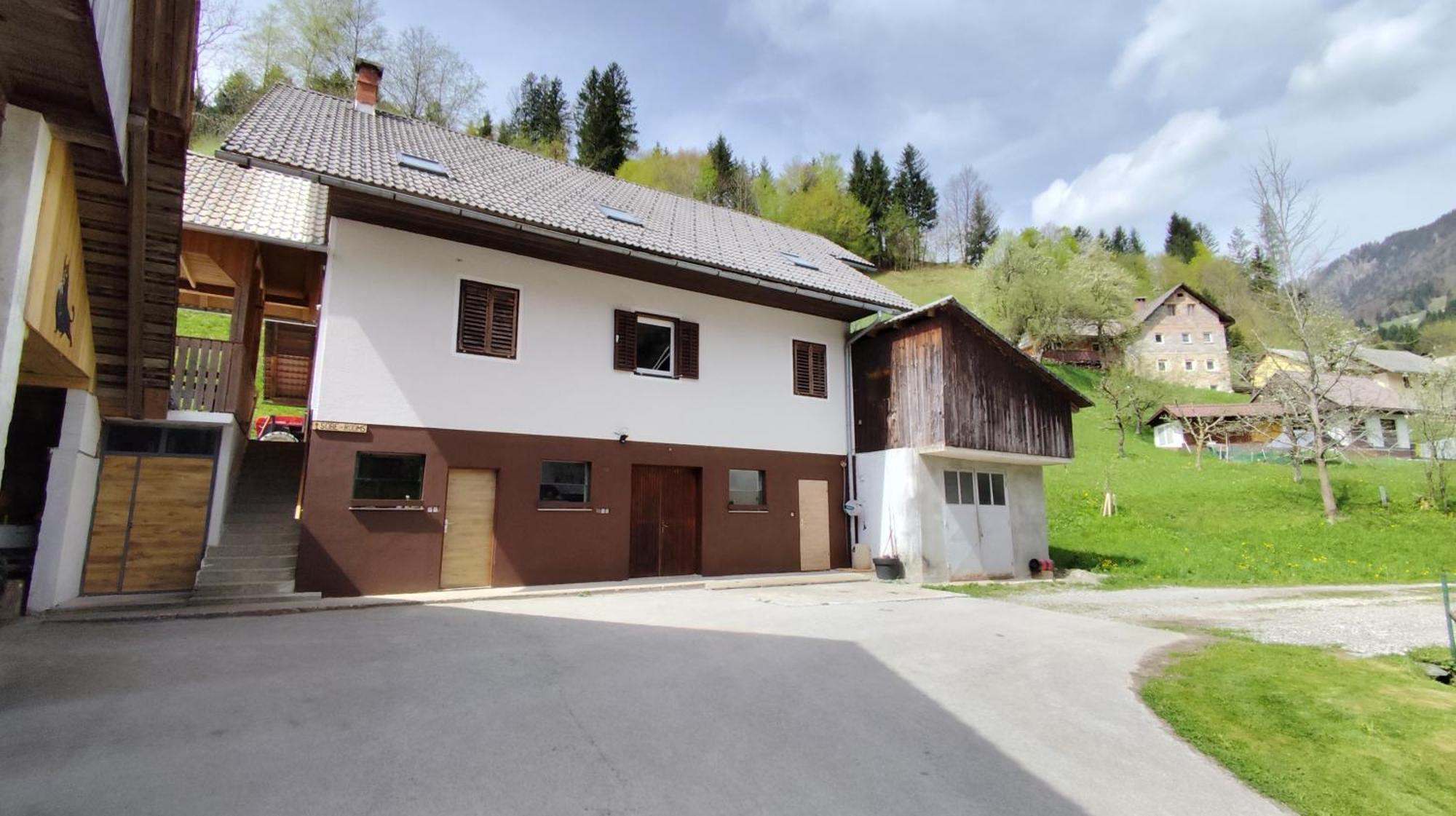 Domacija Markc Zelezniki Exteriör bild